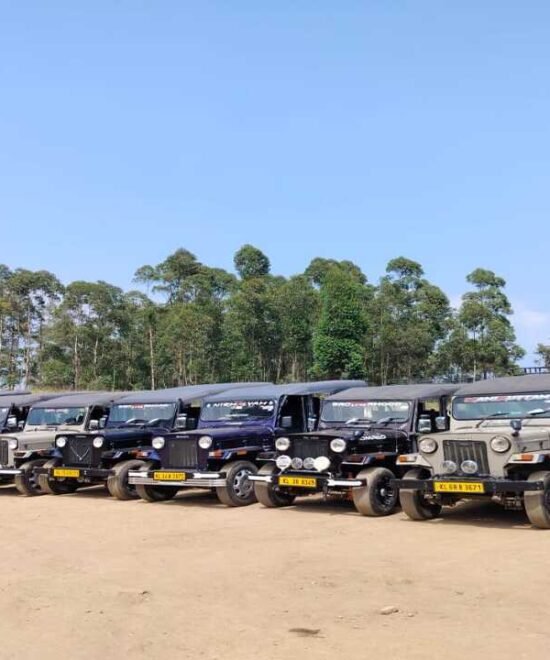 Jeep Safari