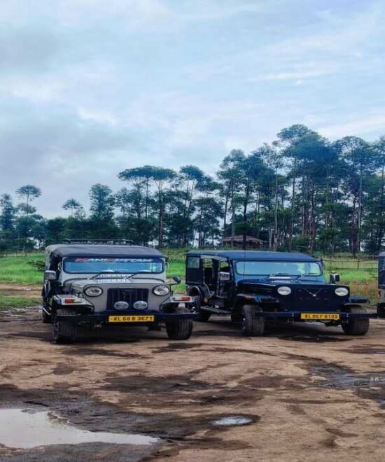 Jeep Safari